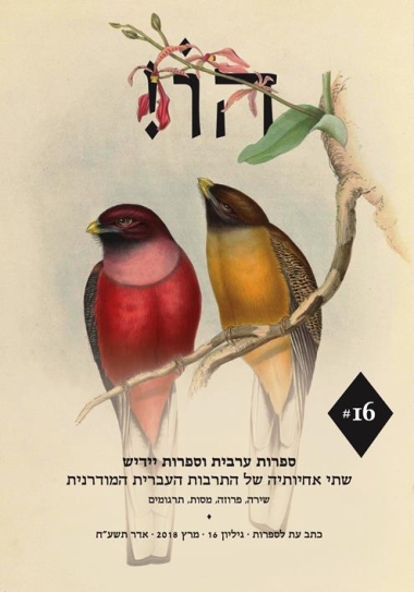 הו! 16 - חוגגות בהמגדלור את צאת הגיליון החדש