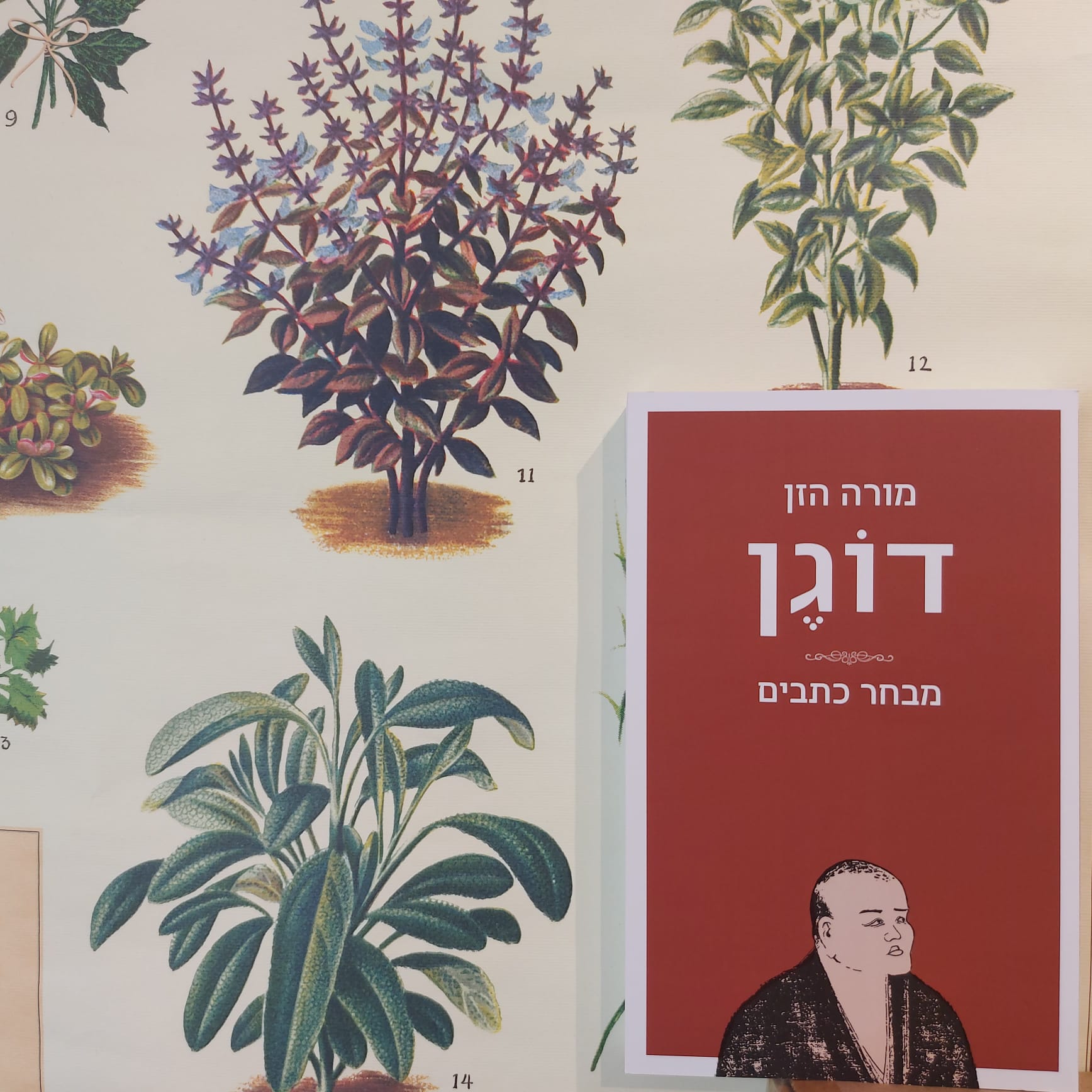 מורה הזן דוגן - ערב לכבוד הספר החדש