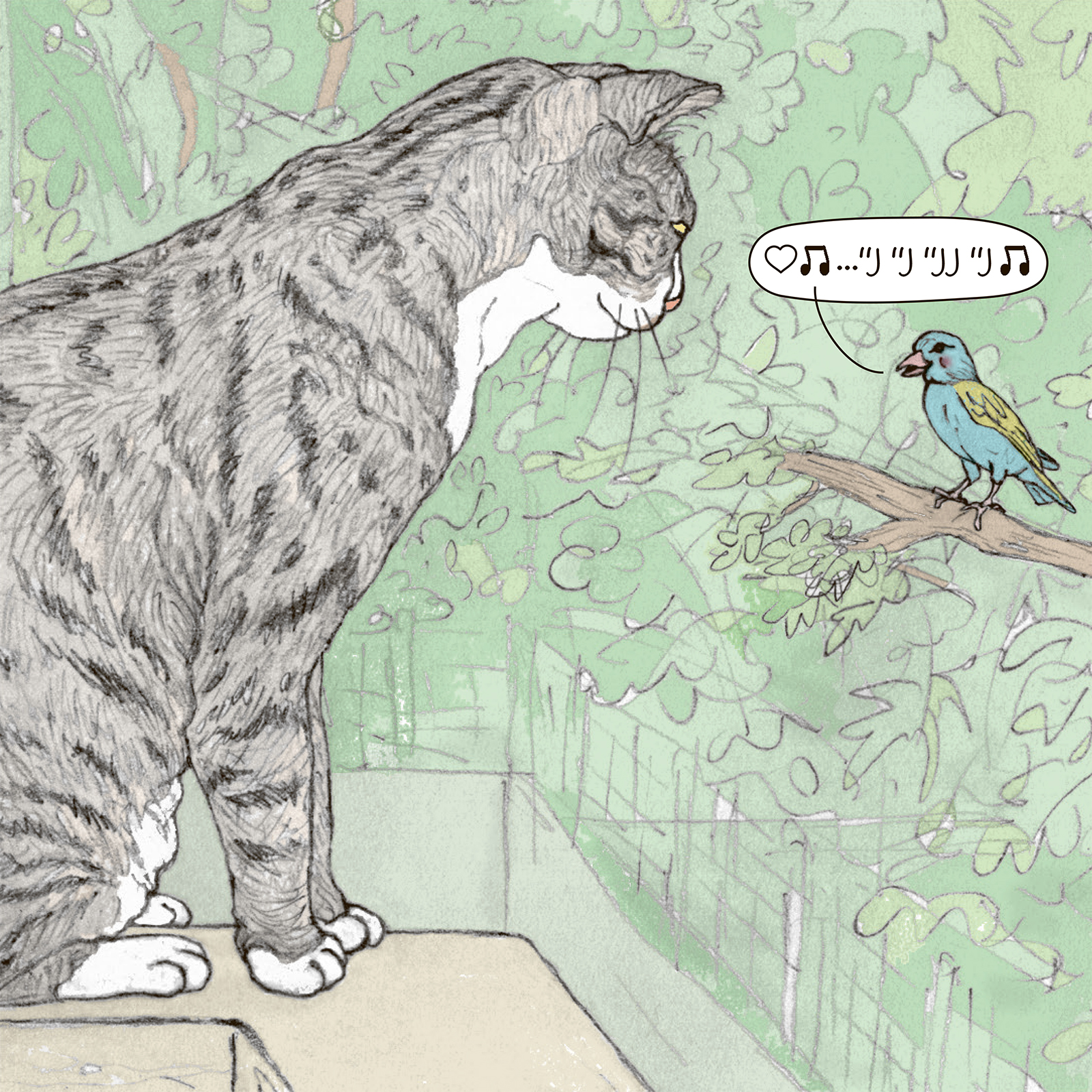 מרימות את השאלטר במגדלור ובסביבה
