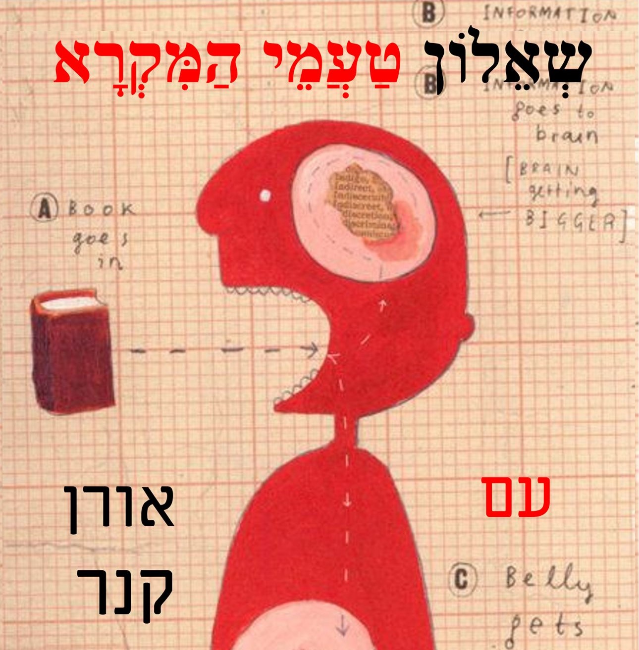 האם גם מבוגרים הם בני אדם ומה הרגלי הקריאה שלהם?