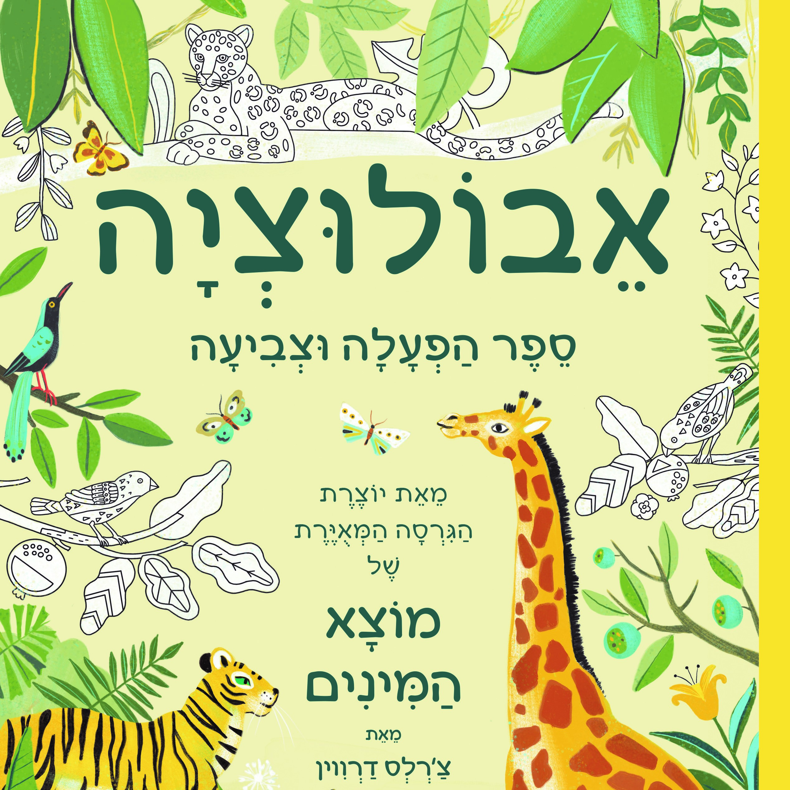 אבולוציה - ספר הפעלה וצביעה