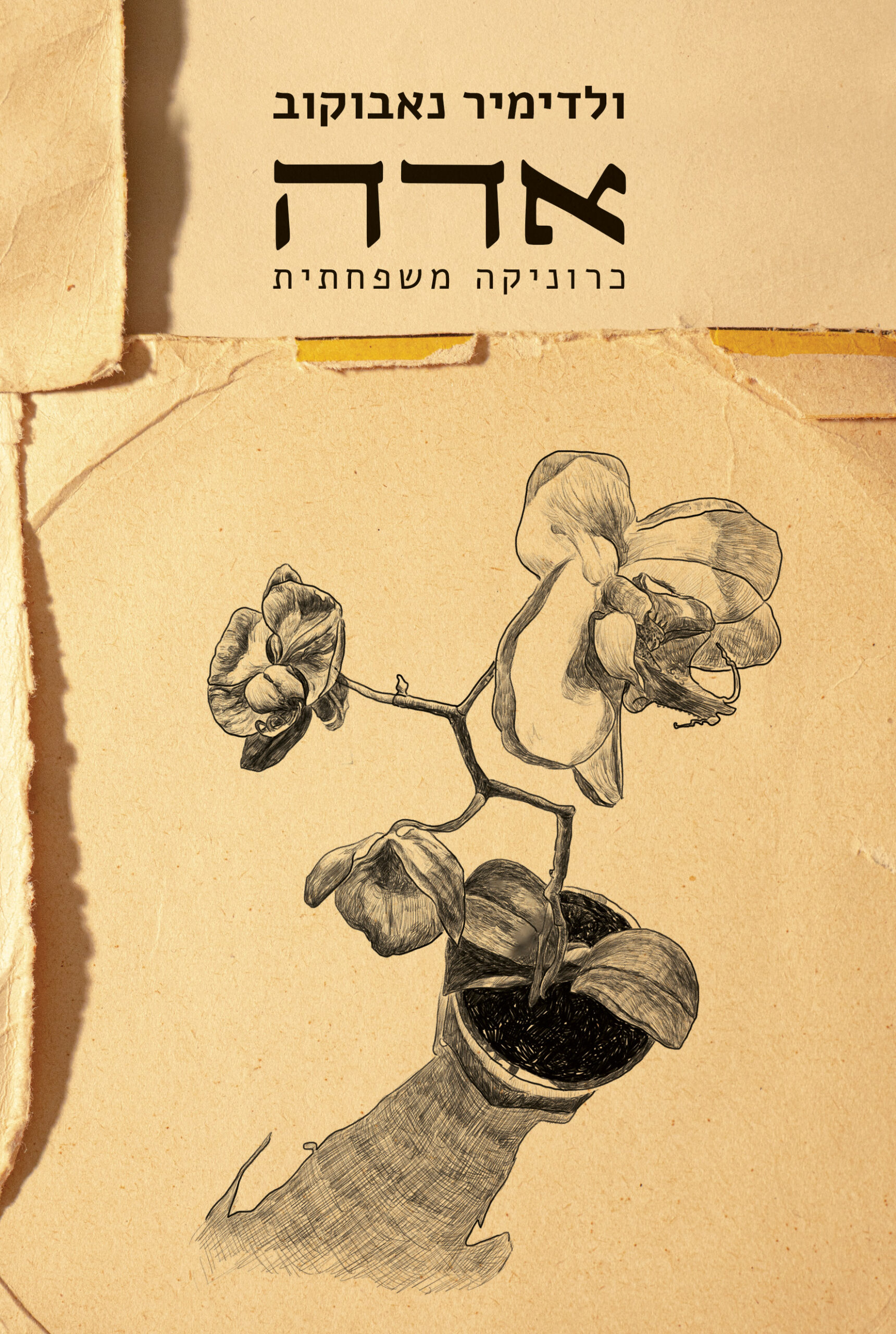 אדה - כרוניקה משפחתית