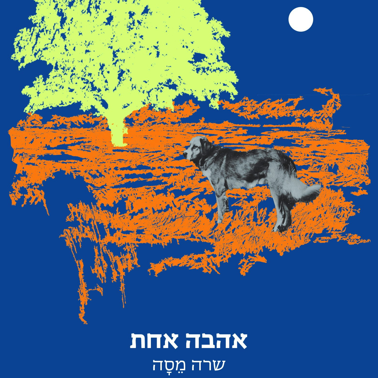 אהבה אחת