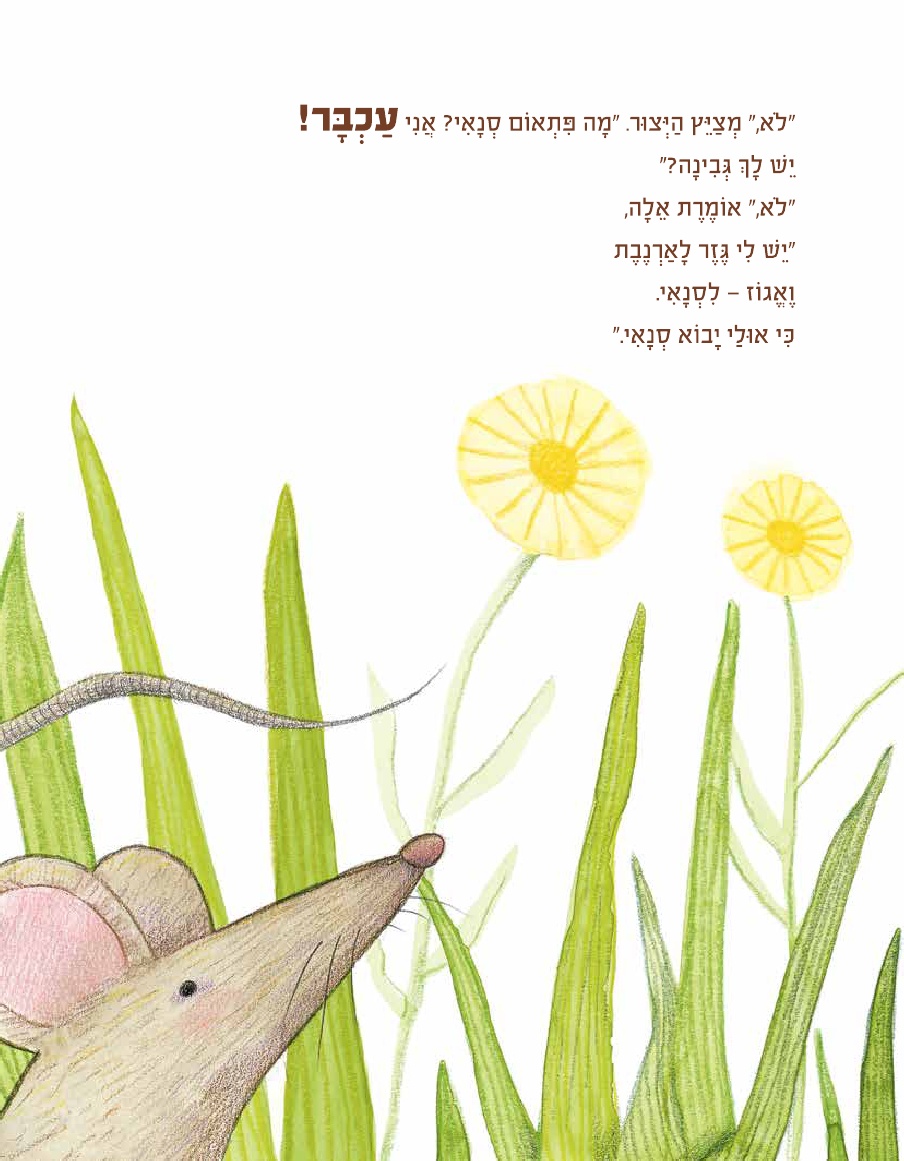 אולי יבוא סנאי
