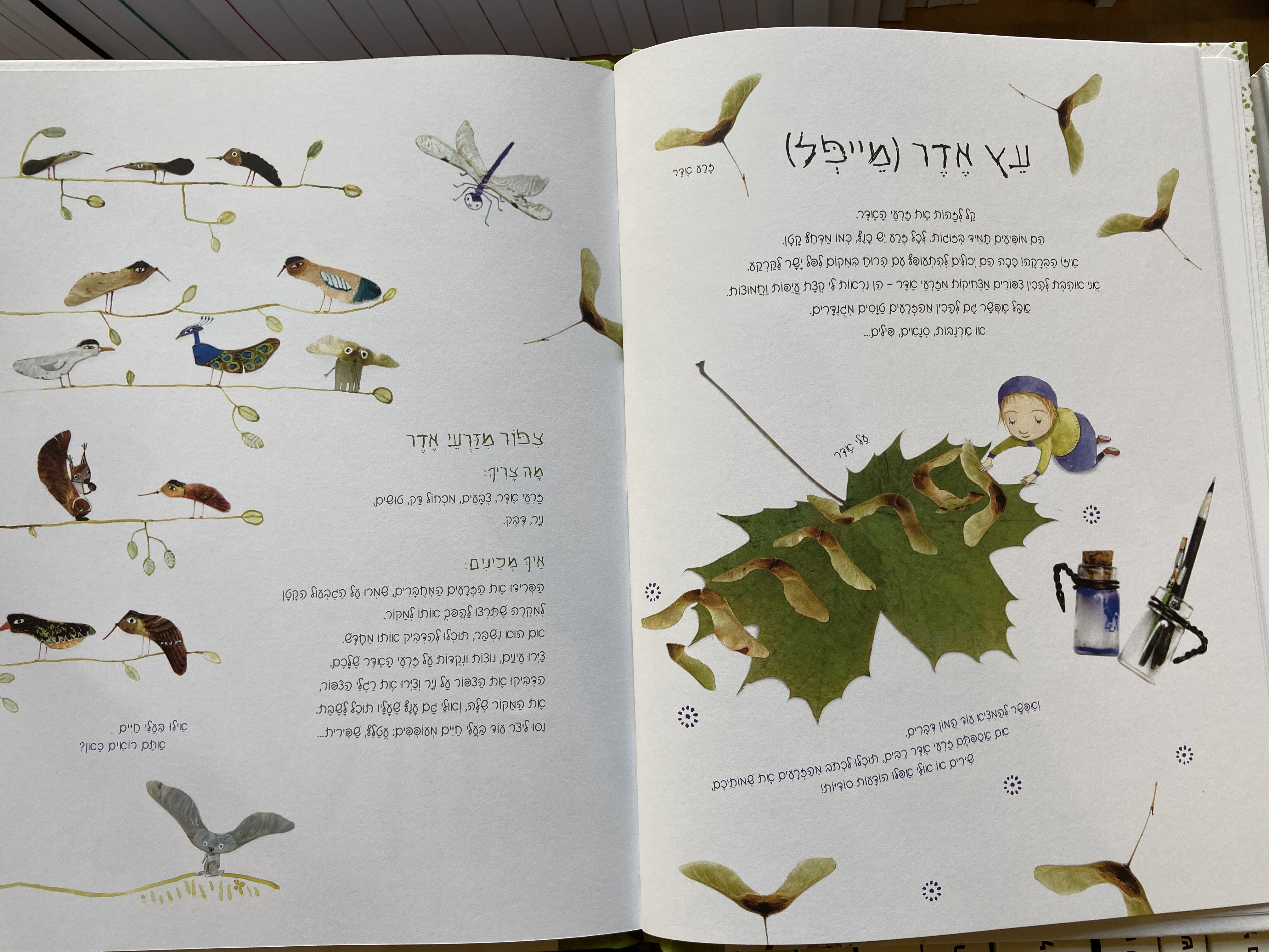 אוצר הטבע של פלורה