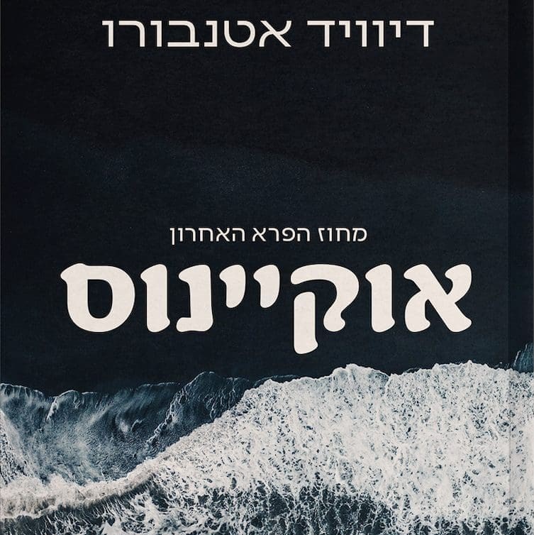 אוקיינוס
