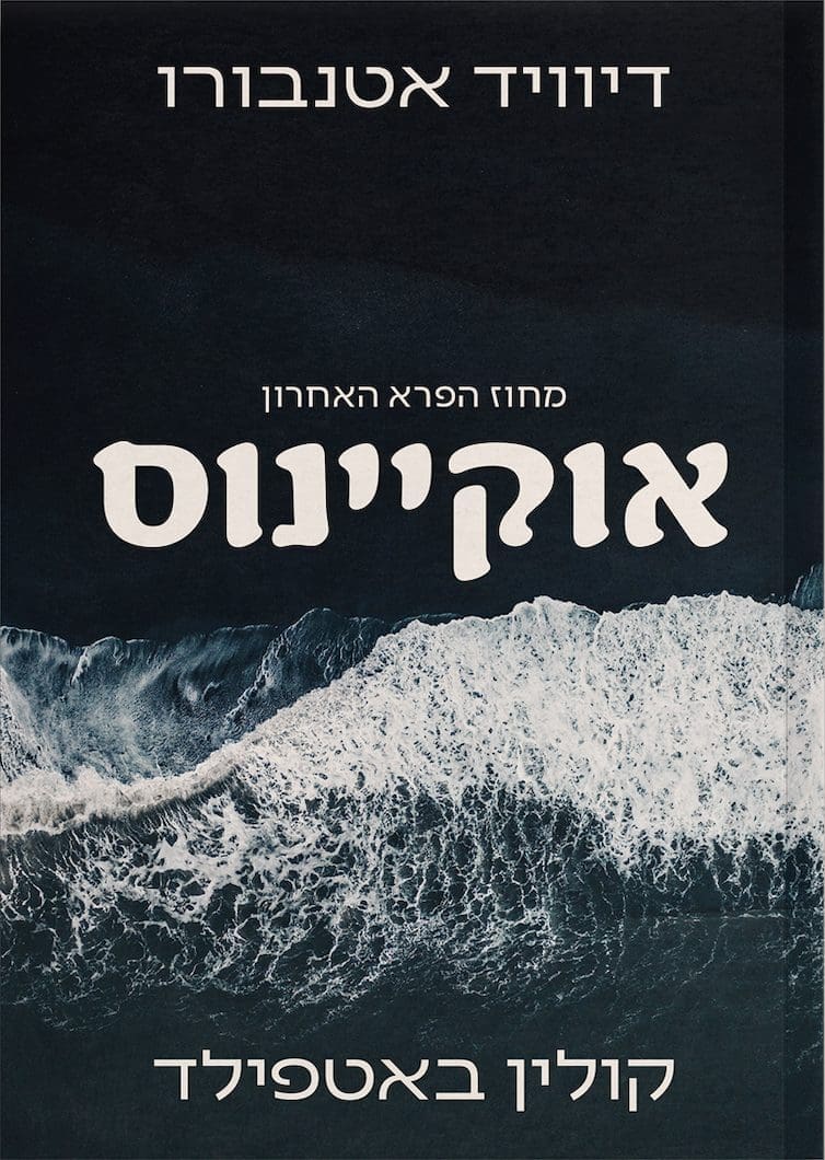אוקיינוס