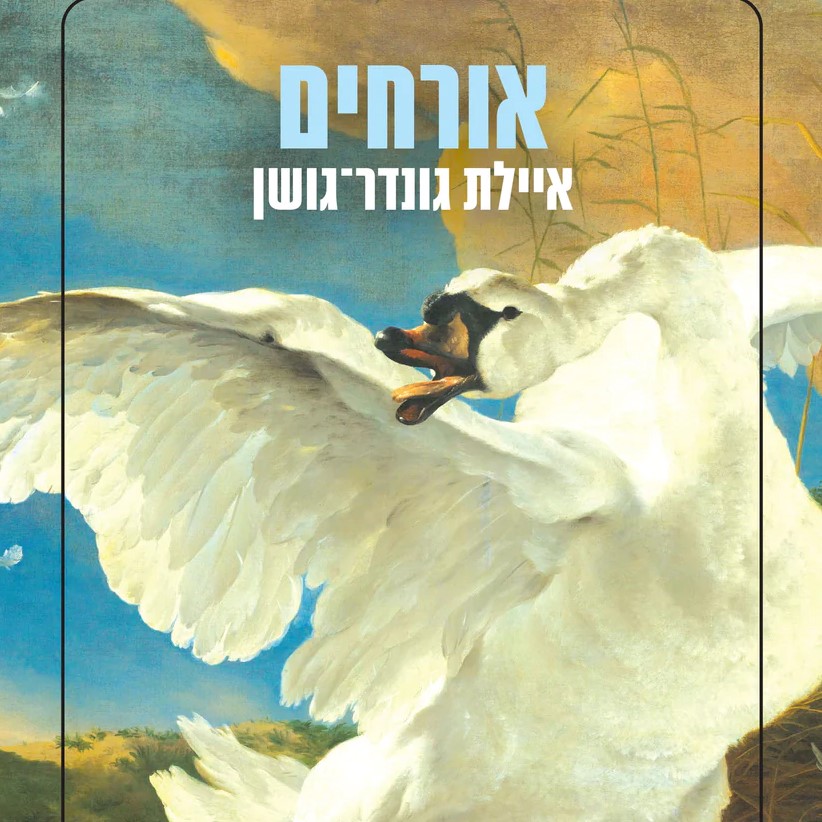 אורחים
