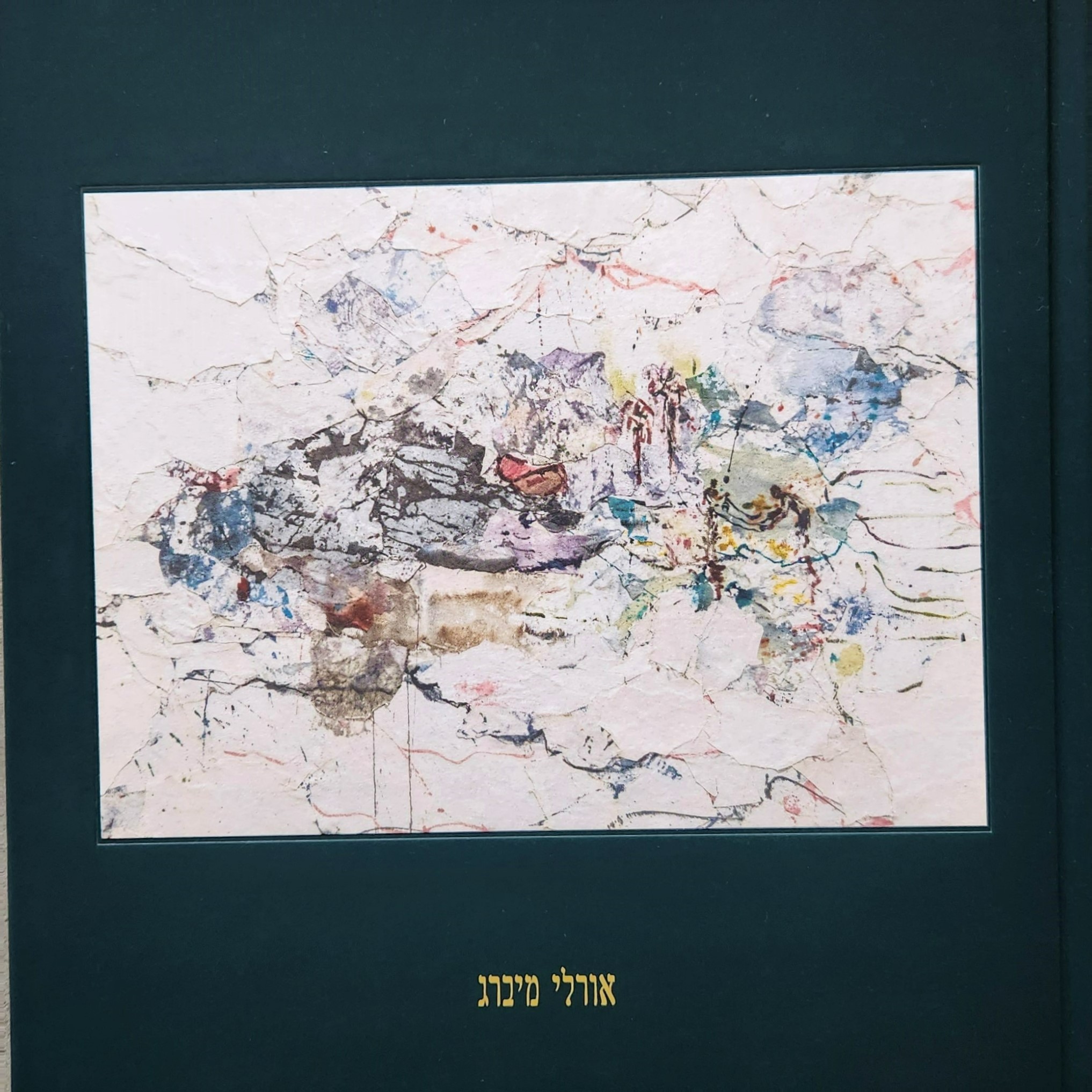 אורלי מיברג | ספר אמנית