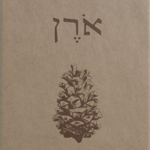 אורן