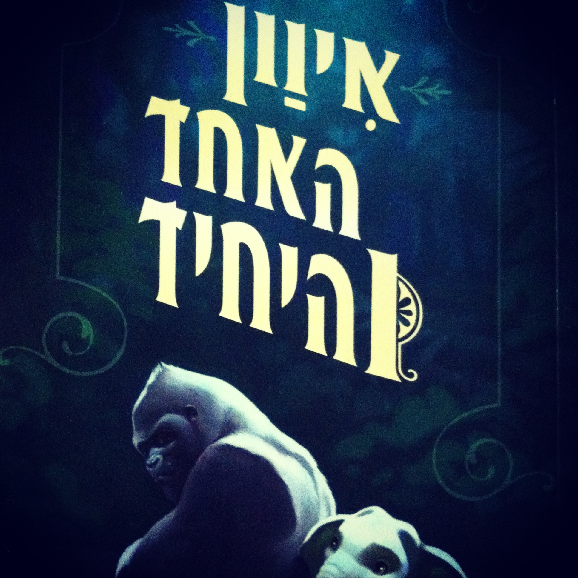 איוון האחד והיחיד