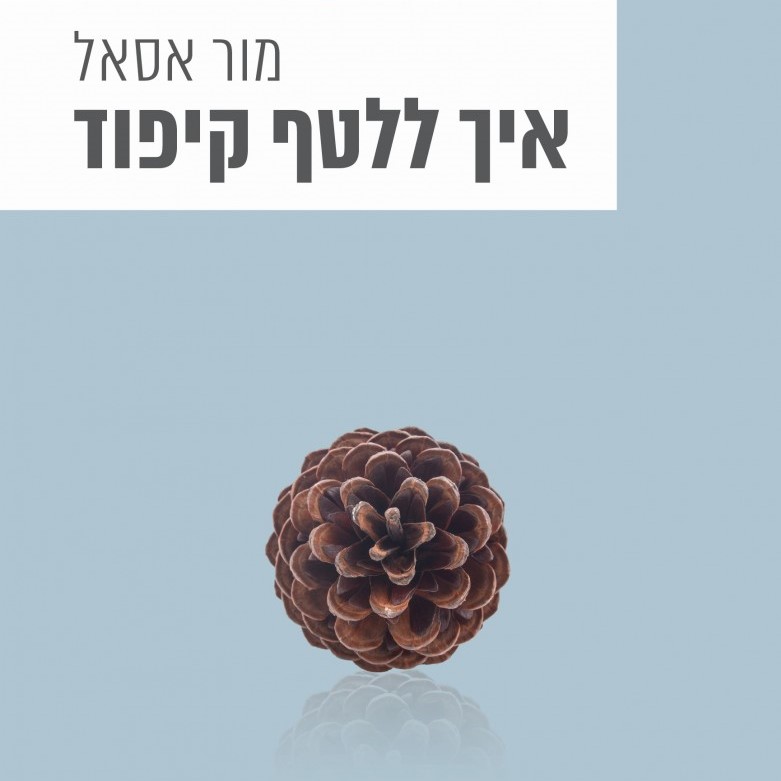 איך ללטף קיפוד
