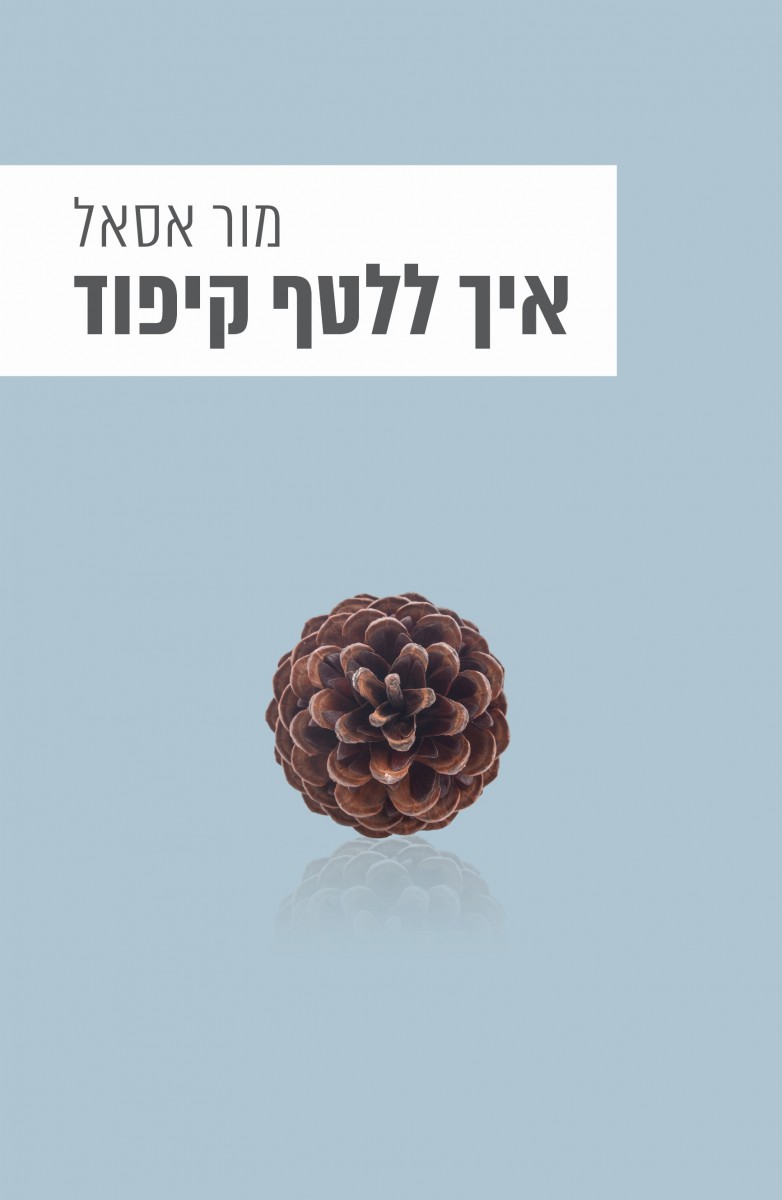 איך ללטף קיפוד