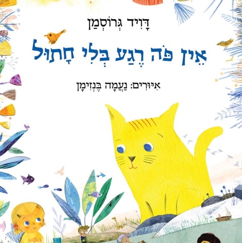 אין פה רגע בלי חתול