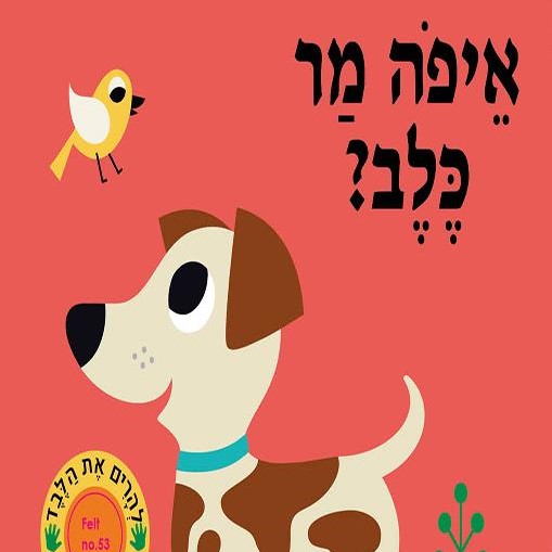 איפה מר כלב?