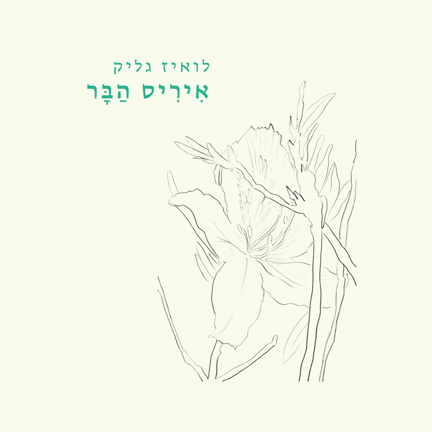 איריס הבר