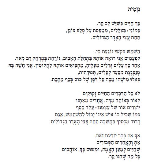 איריס הבר