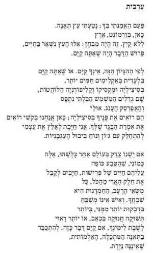 איריס הבר