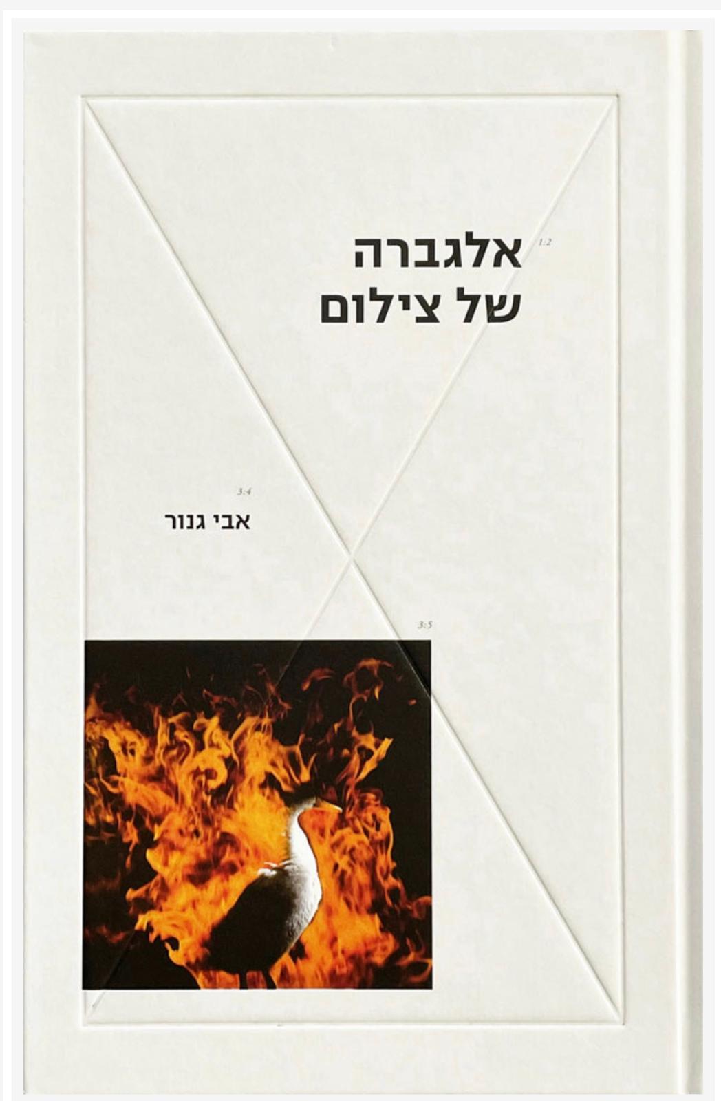 אלגברה של צילום