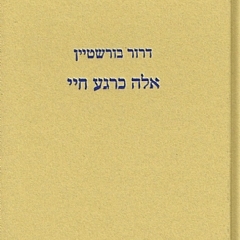אלה כרגע חיי
