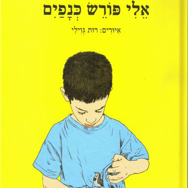 אלי פורש כנפיים