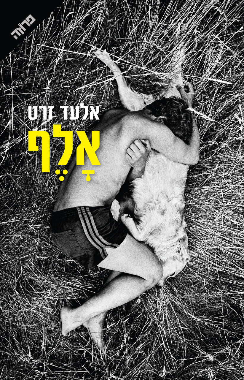 אלף