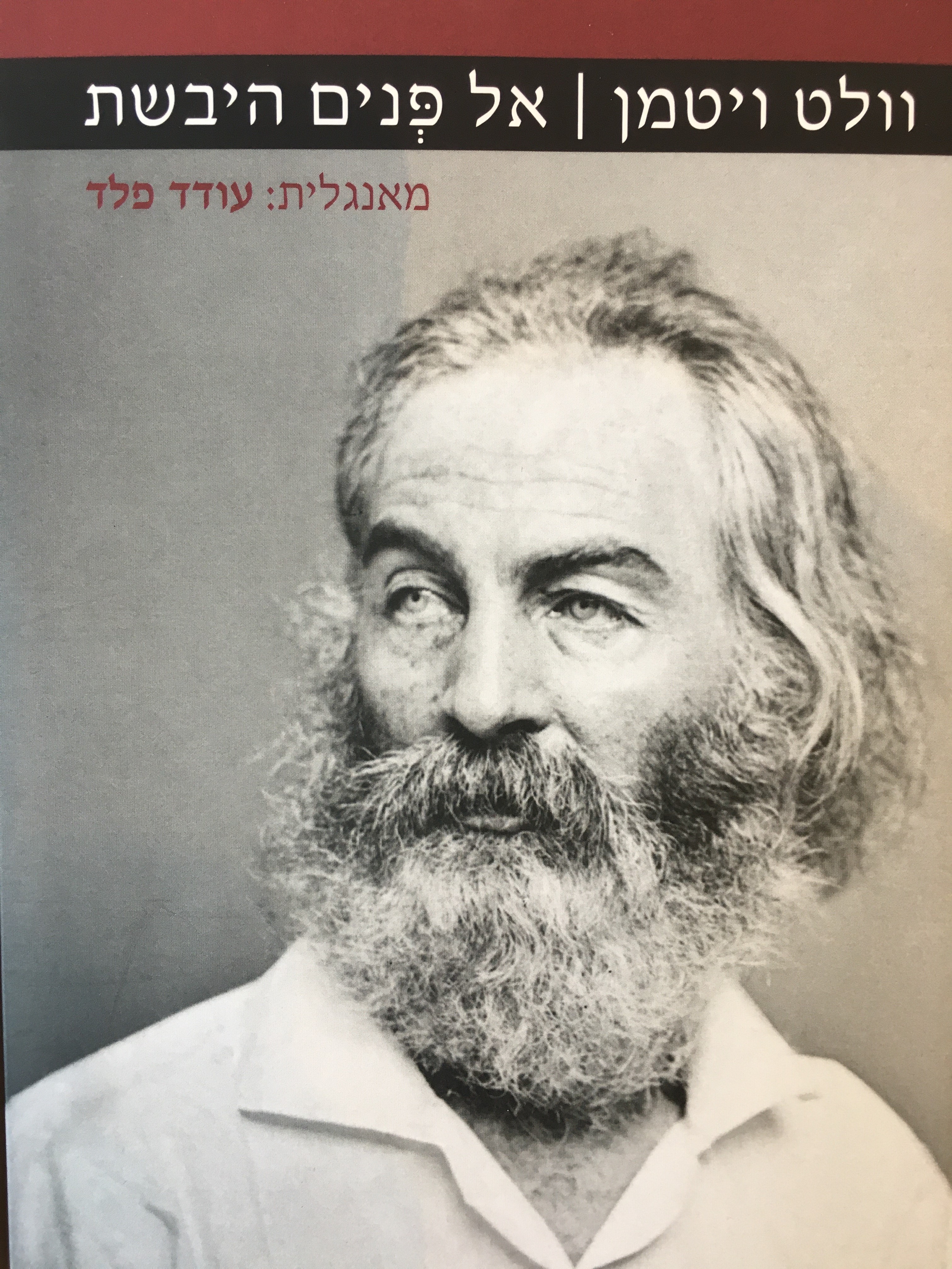 אל פנים היבשת