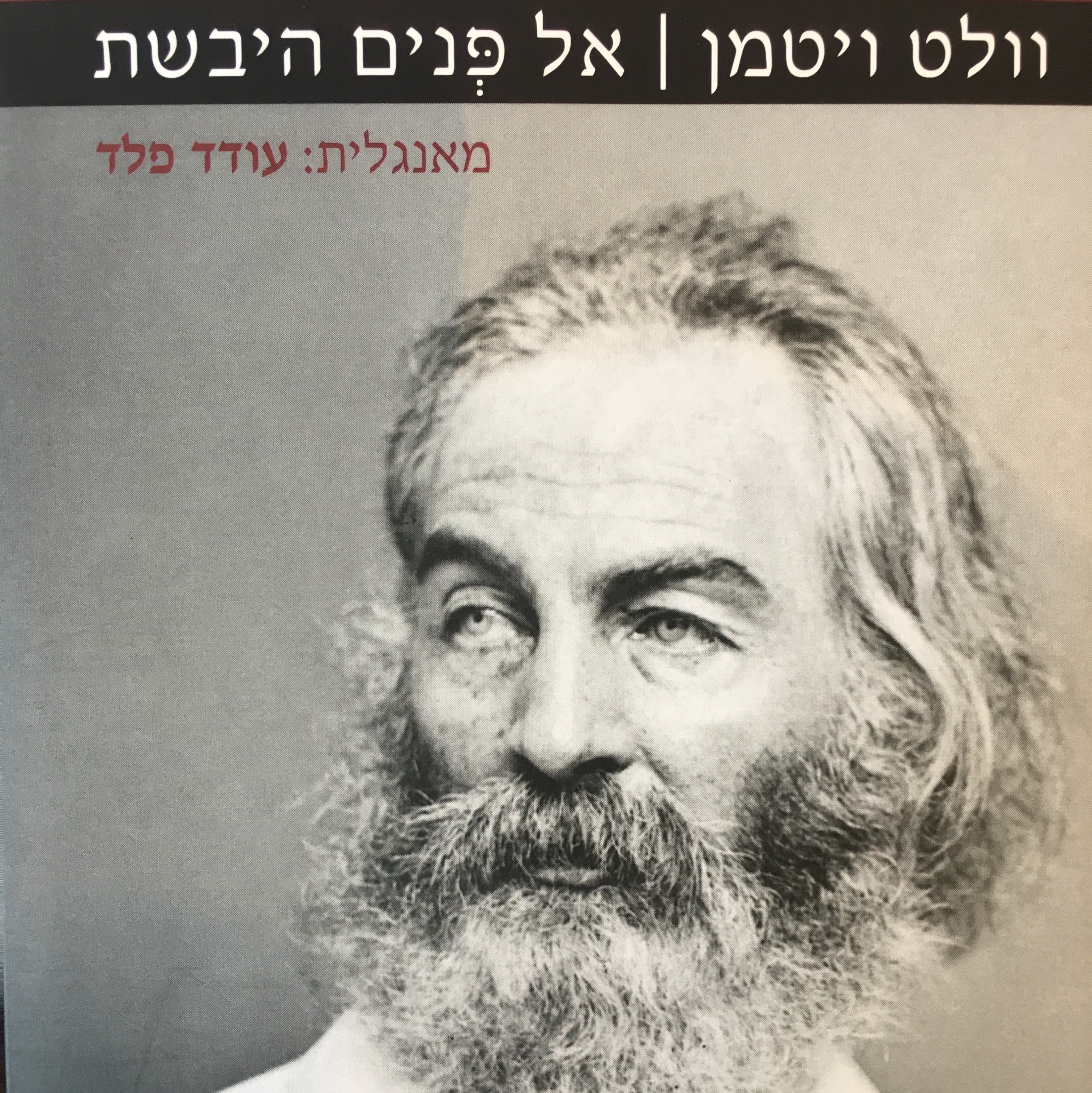 אל פנים היבשת