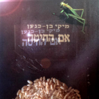 אם החיטה