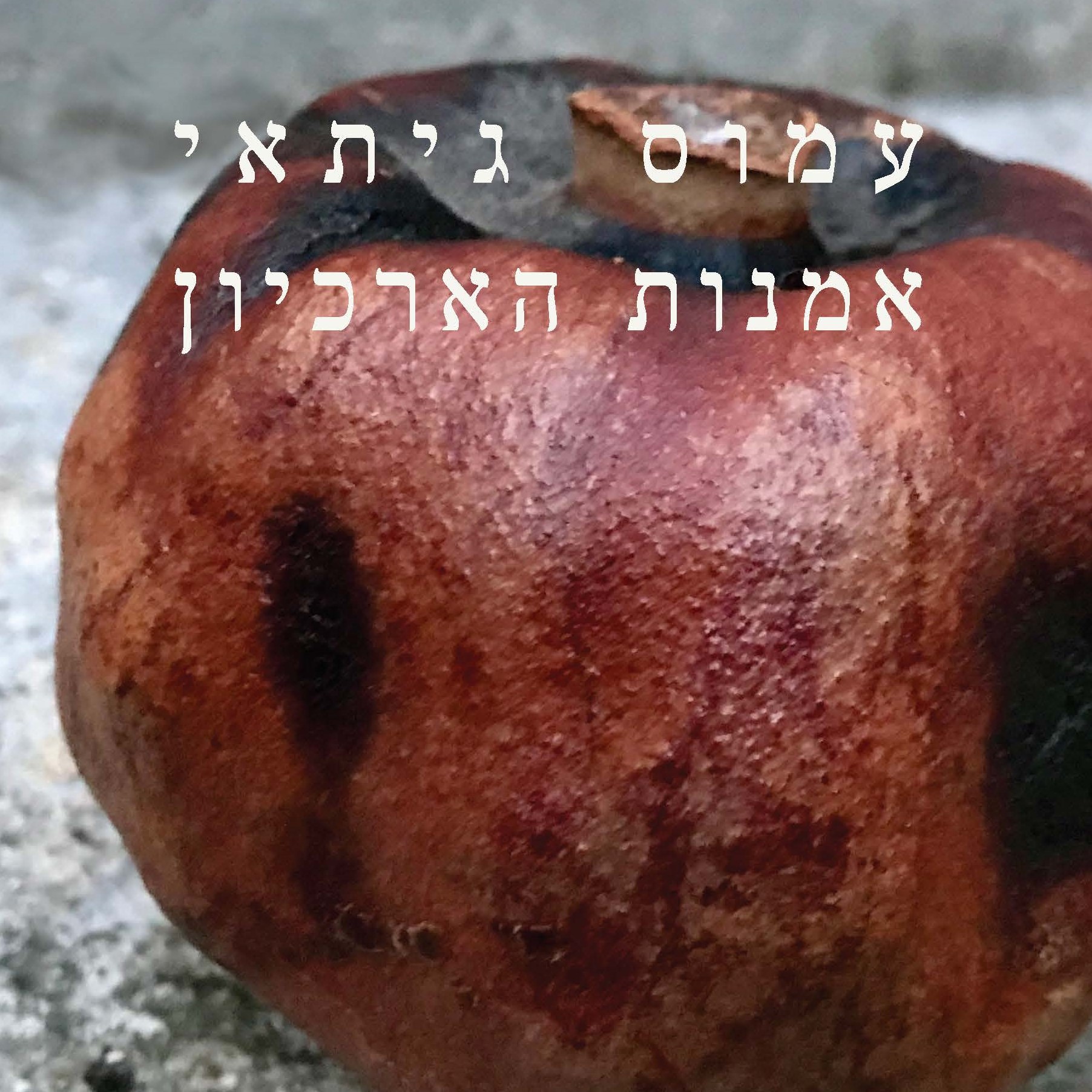 אמנות הארכיון