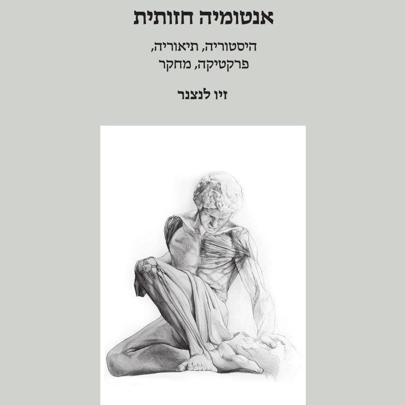 אנטומיה חזותית