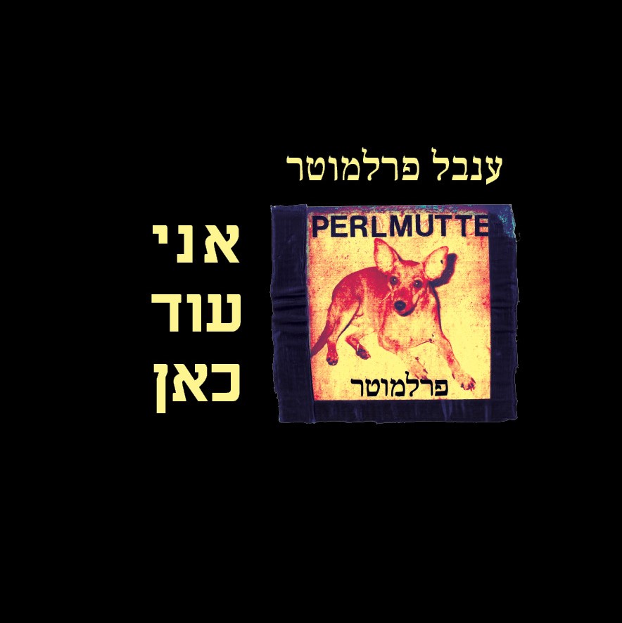 אני עוד כאן