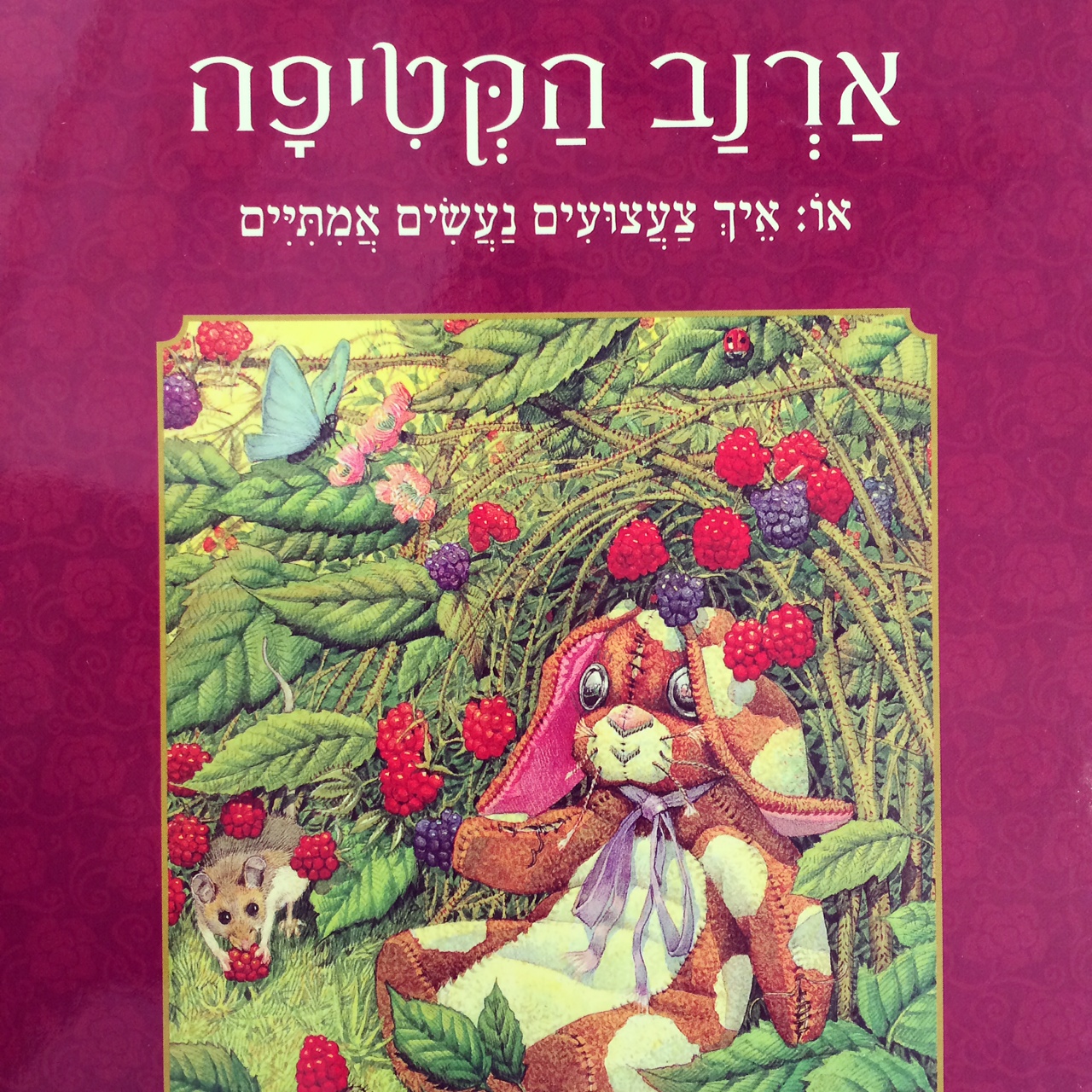ארנב הקטיפה