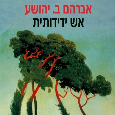 אש ידידותית