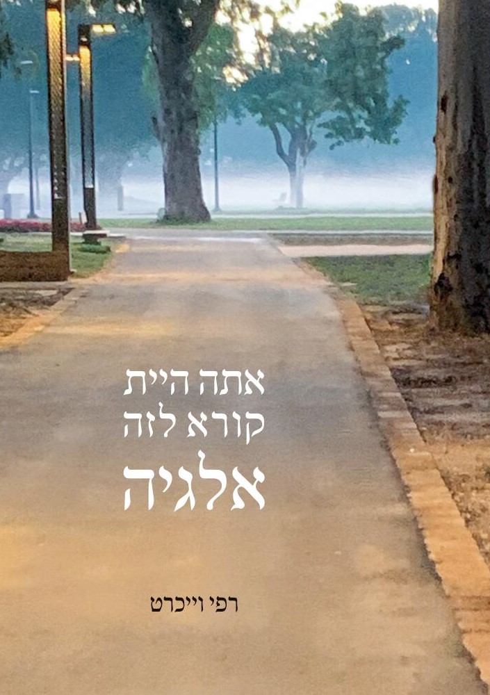 אתה היית קורא לזה אלגיה