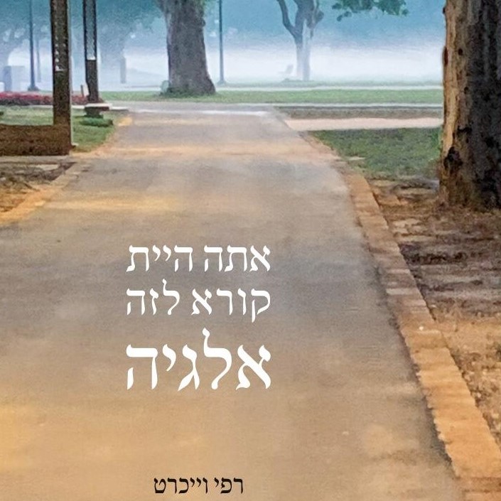 אתה היית קורא לזה אלגיה