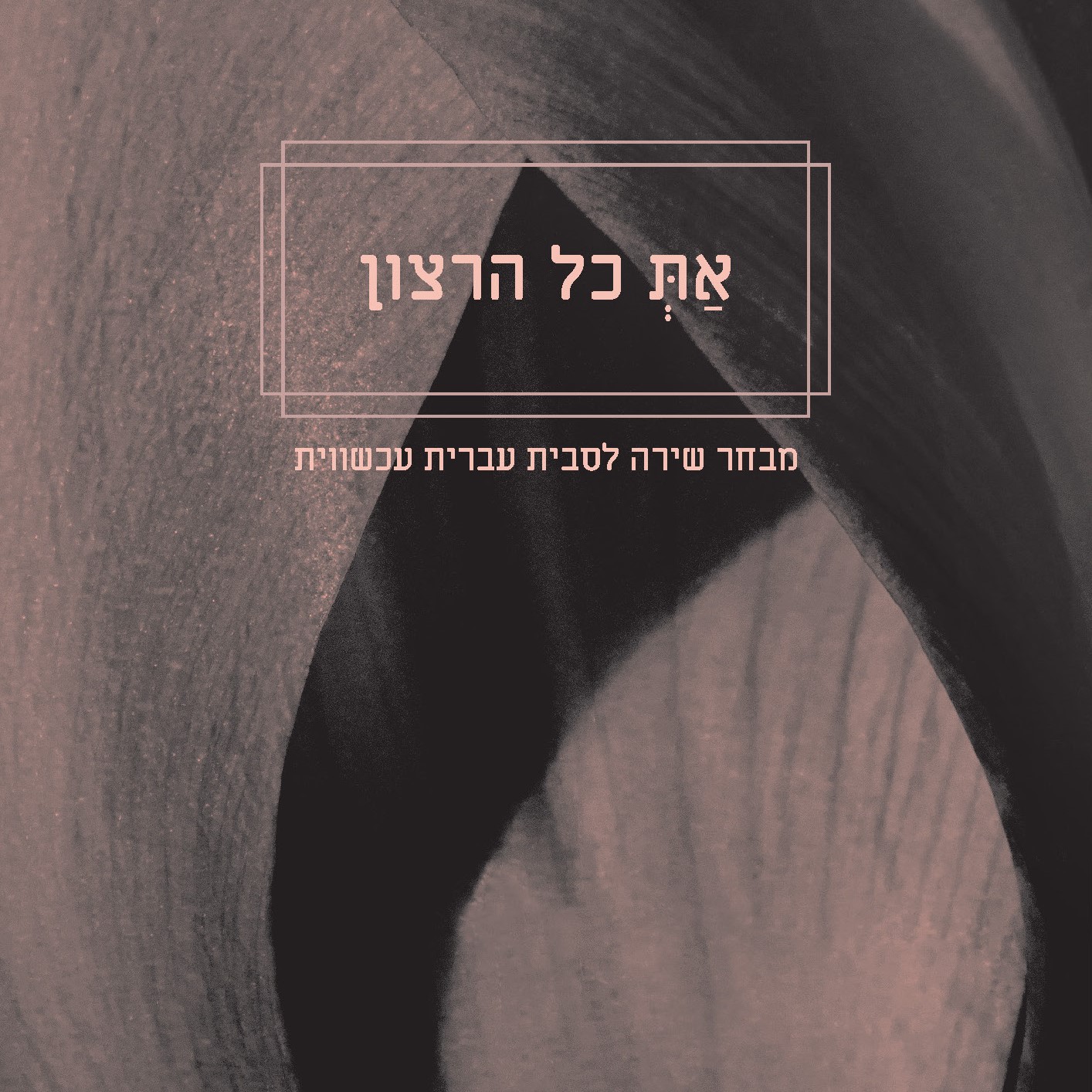 את כל הרצון