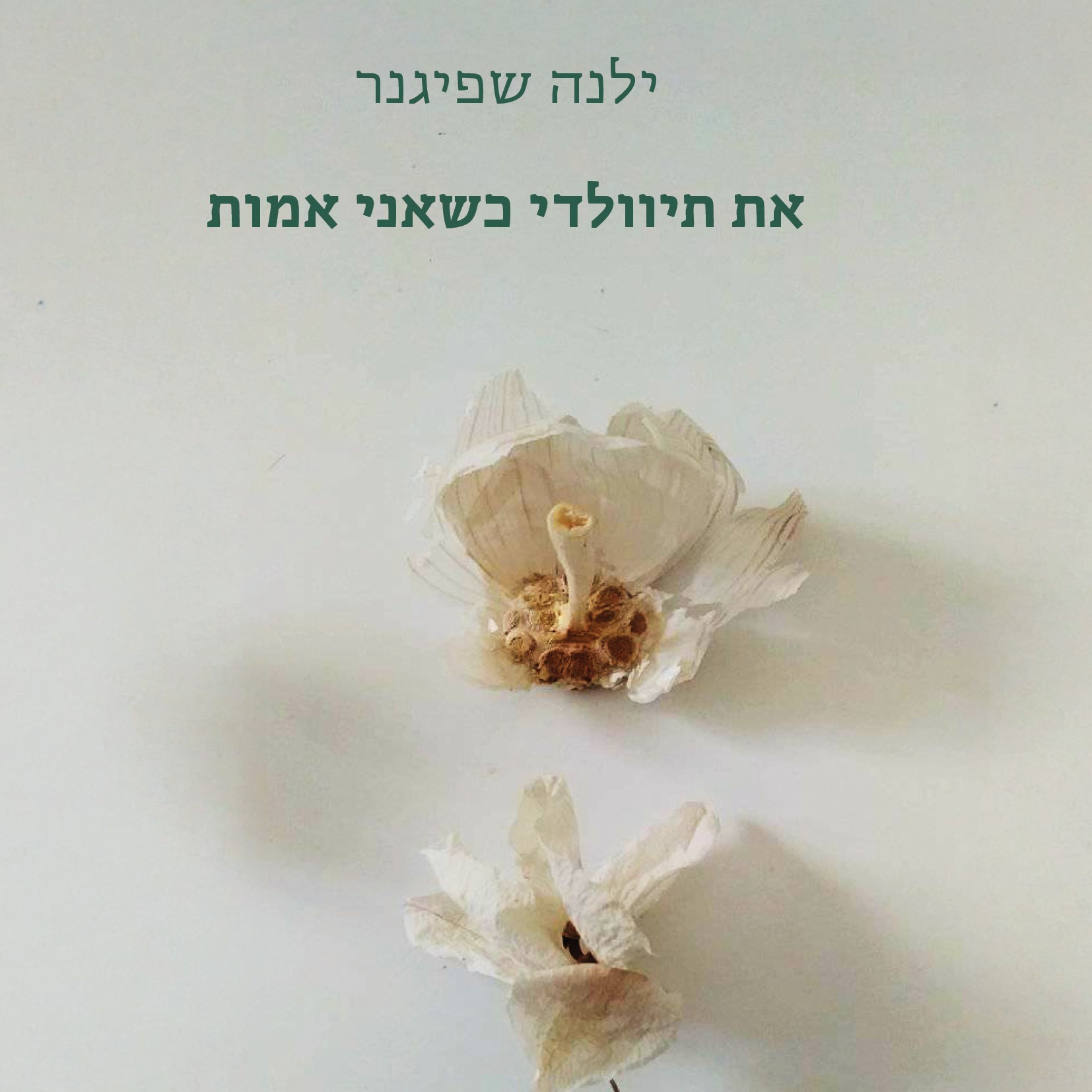 את תיוולדי כשאני אמות