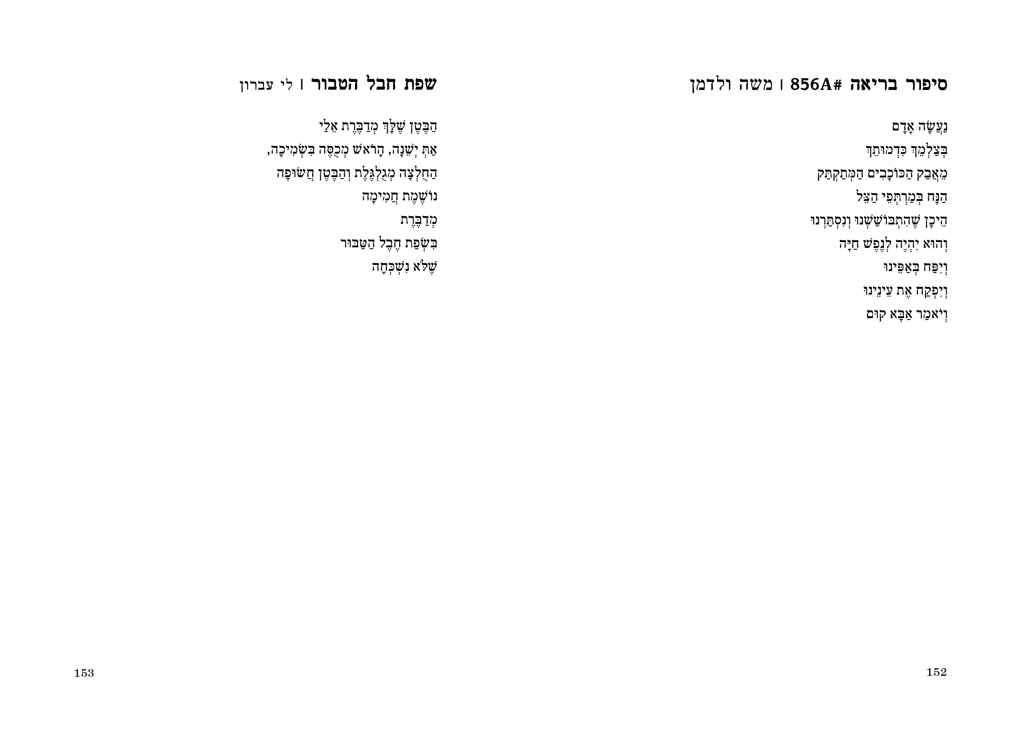 בגדות האפשר - אנתולוגיית היריון ולידה