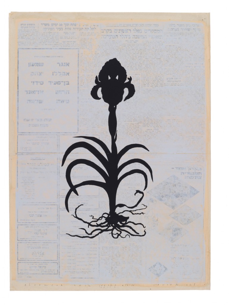 לארי אברמסון: בוטניקה