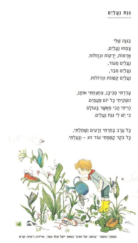 בועה על חוט