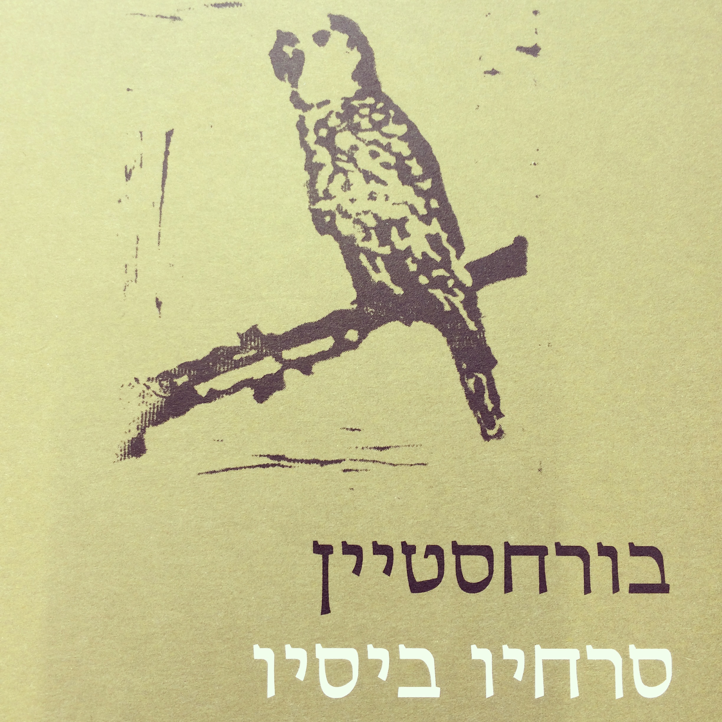 בורחסטיין