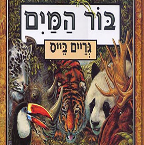 בור המים