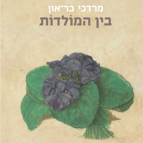 בין המולדות