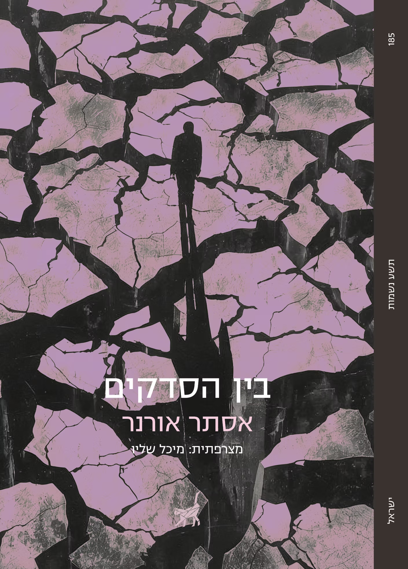 בין הסדקים