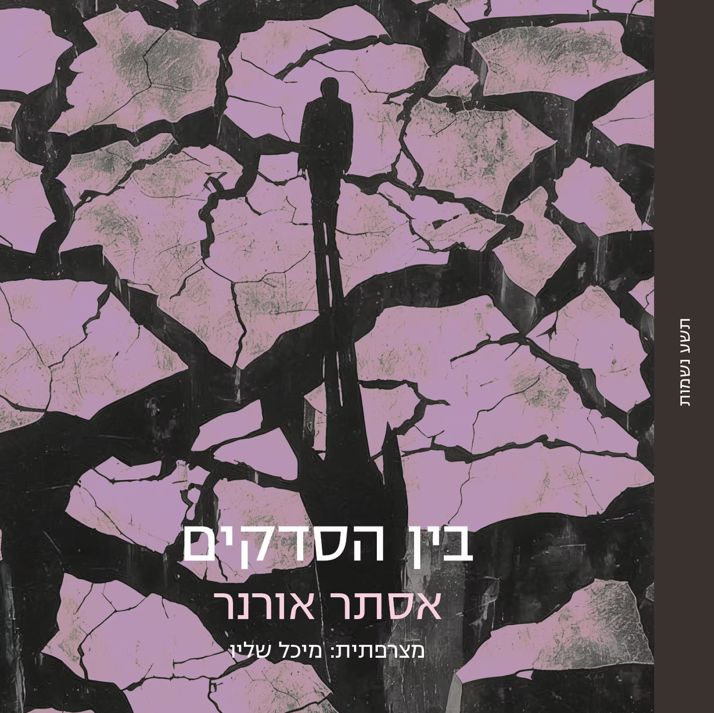 בין הסדקים