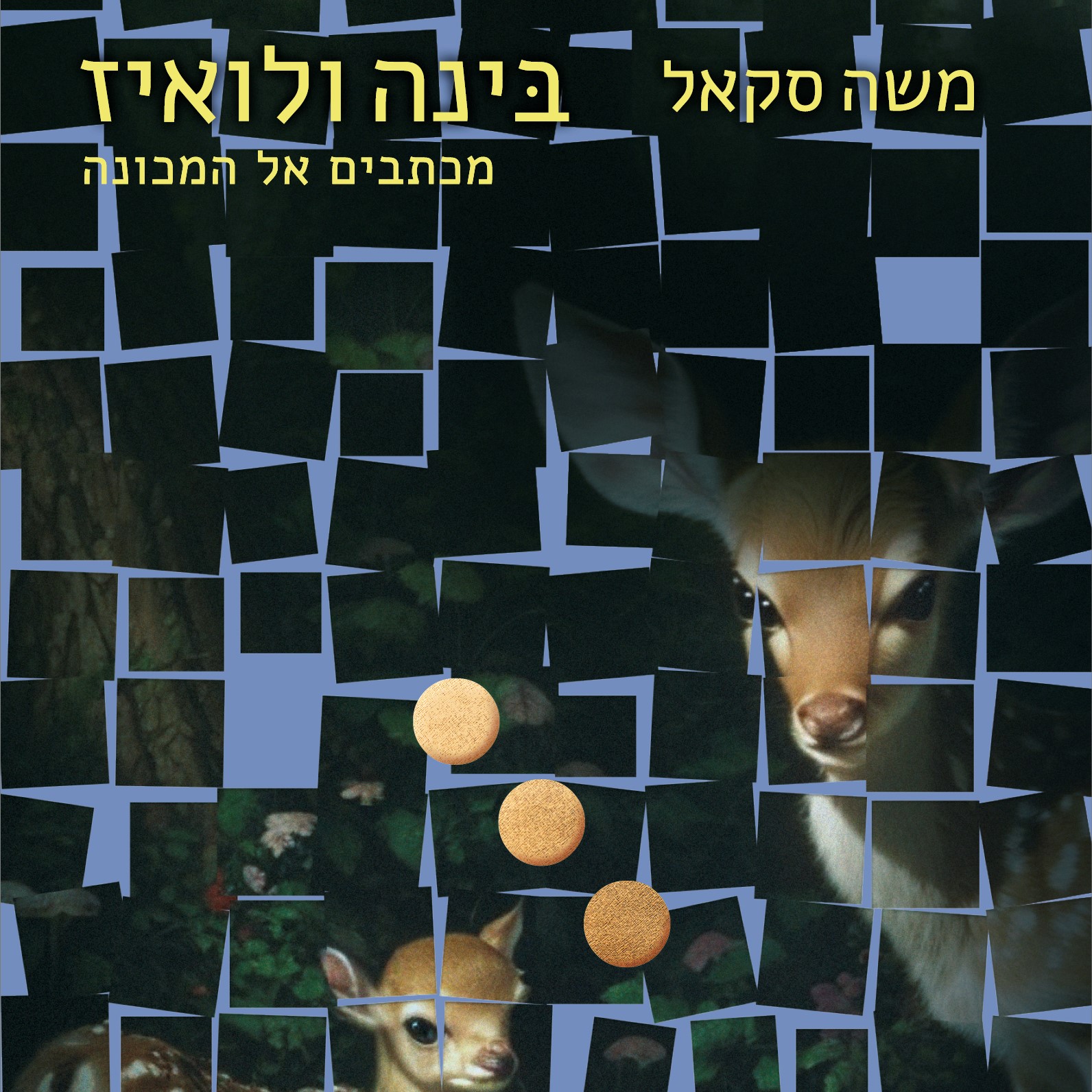 בינה ולואיז