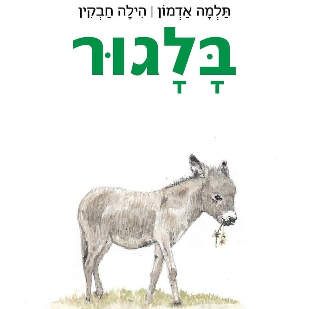 בלגור