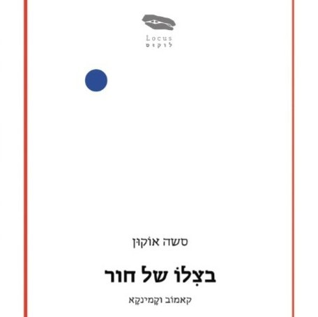 בצילו של חור