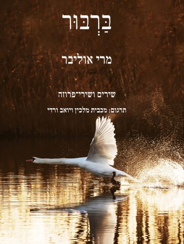 ברבור